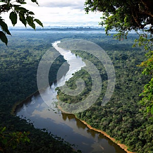 Aerial view of Amazon rainforest in Brazil, South America. Green forest. Bird\'s-eye view. made with Generative AI