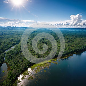 Aerial view of Amazon rainforest in Brazil, South America. Green forest. Bird\'s-eye view. made with Generative AI