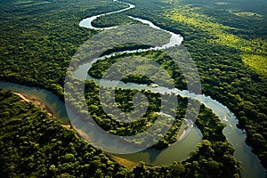 aerial view of the Amazon Rainforest generative AI