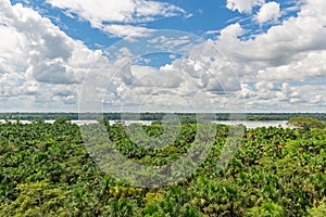 Napo River Aerial Landscape, Amazon Rainforest photo