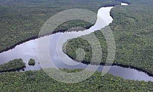 Aerial view of Amazon River photo