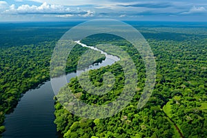 Aerial view of Amazon River. Aerial view of banks of Amazon River on sunny day photo