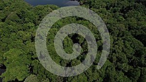 Aerial view of the Amazonian forest on the Rio Negro river.