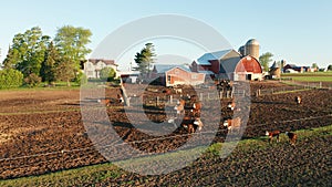 Aerial view of american countryside landscape. Farm, red barn, cows. Rural scenery, farmland. Sunny morning, spring summer season