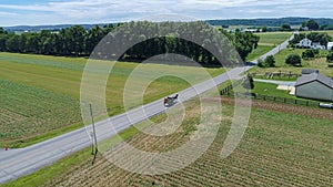 Amish Farm Land and a Horse and Buggy Going Down the Road