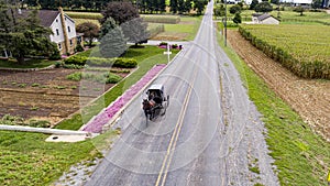 Aerial View of an Amish Horse and Buggy Travel on a Countryside Road, Passing Corn Fields