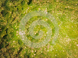 Aerial view Ani ruins archeological site textures and pathways. Heritage site of Armenian culture and history. Silk way road