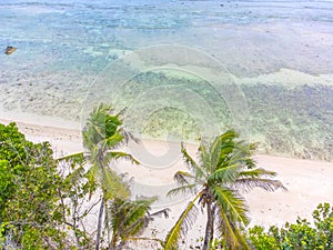 Aerial view of Anse Fourmis beach in La Digue