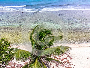 Aerial view of Anse Fourmis beach on a sunny day