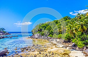 Aerial view of Anse Royale shoreline on a sunny day