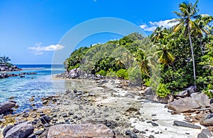 Aerial view of Anse Royale shoreline on a sunny day