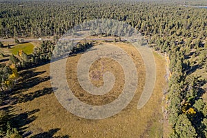 Aerial view of Apache Sitgreaves National forest