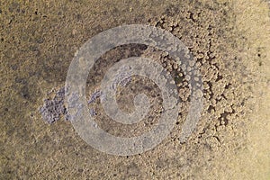 Aerial view of Apache-Sitgreaves National Forest Campground