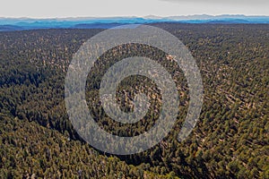 Aerial View of  Apache Sitgreaves National Forest on the White Mountains