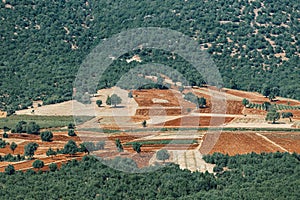 View of arable land ready for sowing in the middle of a forest in the Mediterranean area