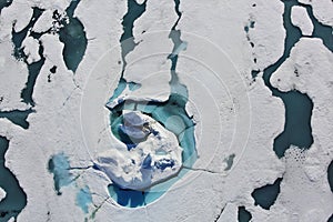 Aerial view of Arctic Ocean