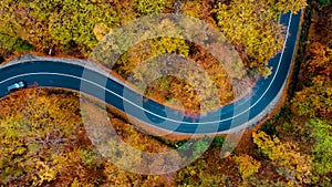 Aerial view of asphalt forest road,  winding road and colourful autumn foliage