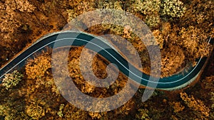 Aerial view of asphalt forest road,  winding road and colourful autumn foliage. Brown, yellow autumn colors