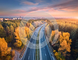 Aerial view of asphalt road in beautiful autumn forest at sunset