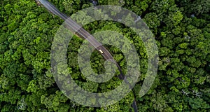 Aerial view asphalt road and green forest, Forest road going through forest with car adventure view from above, Ecosystem and