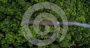 Aerial view asphalt road and green forest, Forest road going through forest with car adventure view from above, Ecosystem and