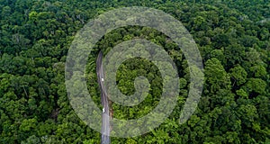 Aerial view asphalt road and green forest, Forest road going through forest with car adventure view from above, Ecosystem and