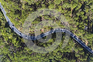 Aerial view of asphalt road and green forest, forest road going through forest with car