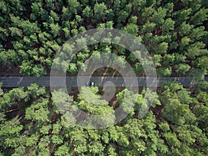 Aerial view asphalt road and green pine forest with car adventure view from above