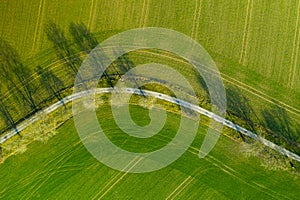 Aerial view on a asphalt road separated two cultivated fields. Top view on a motorway between farmers lands