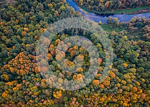 Aerial view of autumn colors in the forest with river crossing it