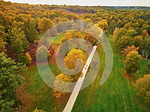 Aerial view of autumn forest in northern France