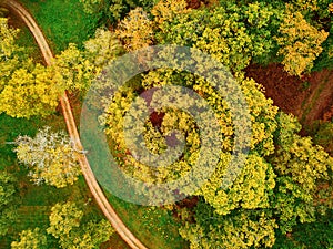 Aerial view of autumn forest in northern France photo