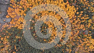 Aerial view of autumn forest in the Siberian nature reserve Stolby.