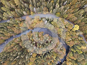 Aerial view of the autumn forest and small stream. Way along the river in the mountains covered with green and colorful forest