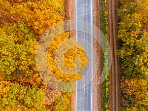 aerial view of autumn highway in forest