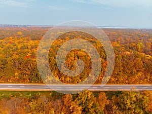 aerial view of autumn highway in forest