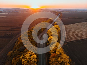 aerial view of autumn highway in forest