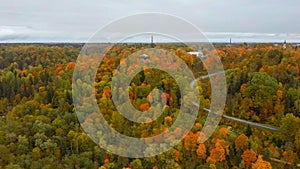 Aerial View of Autumn Landscape View of the Autumn Bright Multi-colored Trees, Green, Orange and Reddish Tint.