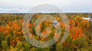 Aerial View of Autumn Landscape View of the Autumn Bright Multi-colored Trees, Green, Orange and Reddish Tint.