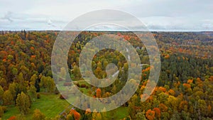 Aerial View of Autumn Landscape View of the Autumn Bright Multi-colored Trees, Green, Orange and Reddish Tint.