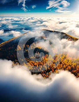 An aerial view of an autumn landscape of clouds and trees in the mountains
