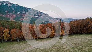 Aerial view of an autumn mountain landscape at Cheia, Brasov - Romania