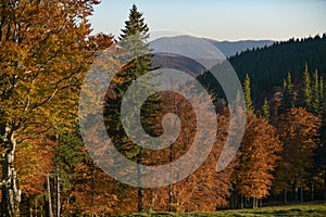 Aerial view of an autumn mountain landscape at Cheia, Brasov - Romania