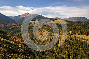 Aerial view of autumn mountain landscape with evergreen pine trees and yellow fall forest with magestic mountains in distance