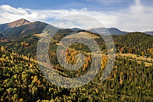 Aerial view of autumn mountain landscape with evergreen pine trees and yellow fall forest with magestic mountains in distance