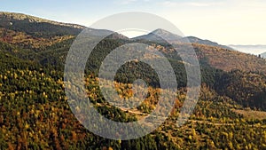 Aerial view of autumn mountain landscape with evergreen pine trees and yellow fall forest with magestic mountains in distance.