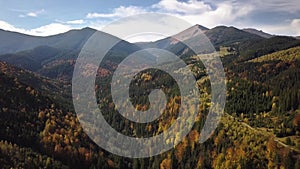 Aerial view of autumn mountain landscape with evergreen pine trees and yellow fall forest with magestic mountains in distance.