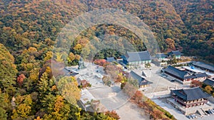 Aerial view autumn of Statue of Buddha in Temple, Seoul Korea .