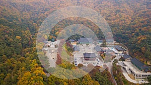 Aerial view autumn of Statue of Buddha in Temple, Seoul Korea .