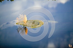 Aerial view of autumn tree on pond with reflection near Sanford, Maine